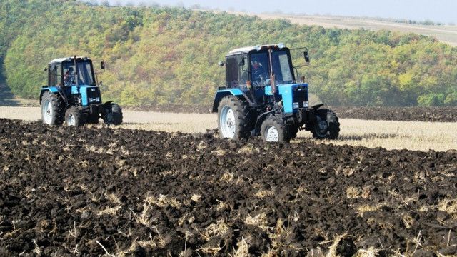 Producţia agricolă în Republica Moldova s-a redus cu 2% în primul trimestru al anului 2019