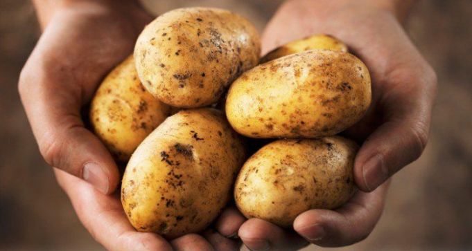 ANSA: Scumpirea cartofilor este cauzată de scăderea producţiei