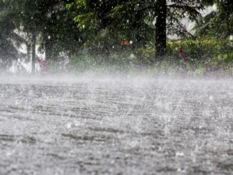 Ploile de ieri au afectat mai multe raioane ale ţării. Vântul a smuls ardezia de pe case, iar culturile agricole au fost compromise