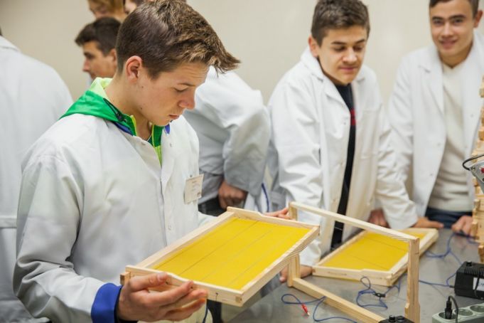 Unicele şcoli din R. Moldova care pregătesc specialişti în domeniul apicol şi cel de producere a pomuşoarelor invită absolvenţii la studii