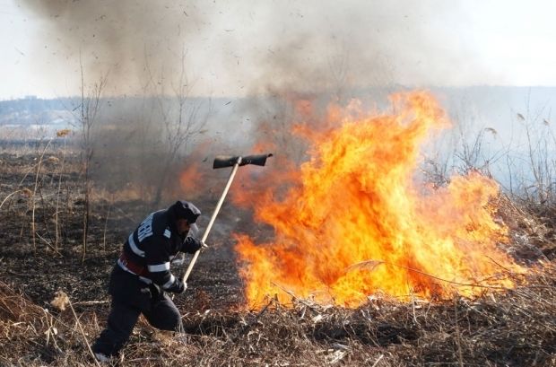 Zeci de hectare de vegetaţie uscată, cuprinse de flăcări lângă Timişoara