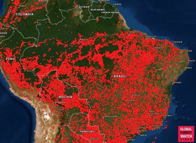 Incendiile din Amazon. O hartă arată cât de mult arde America de Sud