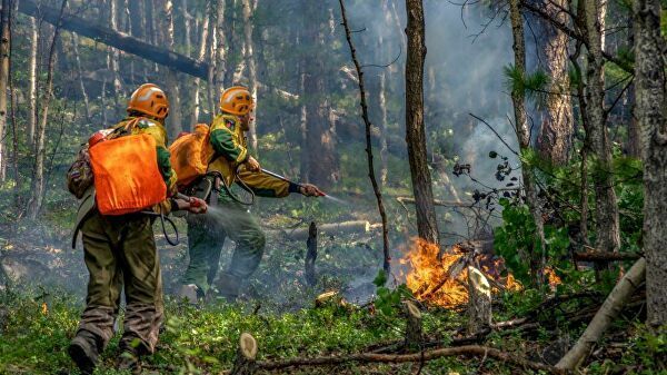 Savanţi: Restabilirea pădurilor arse în Siberia va dura peste o sută de ani. În prezent sunt active peste 450 de focare