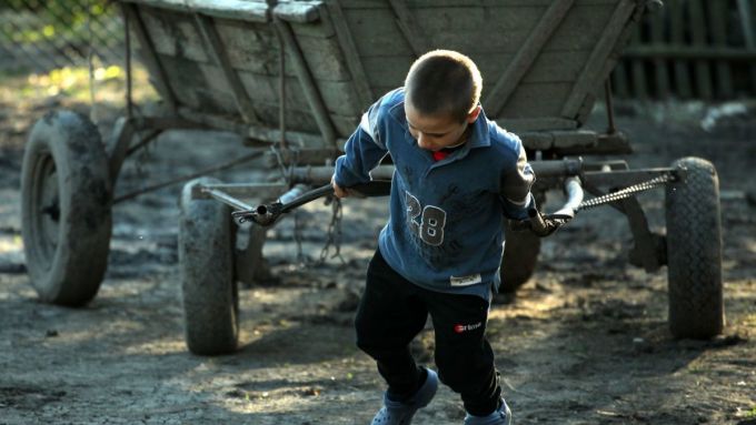 Avocatul Copilului: Exploatarea prin muncă a copiilor este greu de controlat