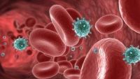 STUDIU. Celulele canceroase devin "canibale" pentru a putea supravieţui chimioterapiei