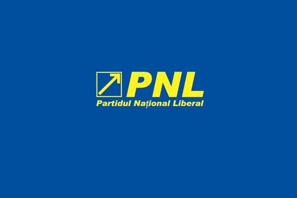 PNL este gata să discute cu alte partide unioniste despre desemnarea unui candidat comun la Primăria Chişinău