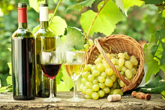 Un renumit specialist francez în vinificaţia durabilă va contribui cu expertiza sa la elaborarea Strategiei „Vinul Moldovei 2030”