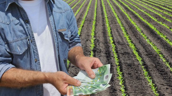 A fost reluată plata subvenţiilor agricole pentru anul 2019