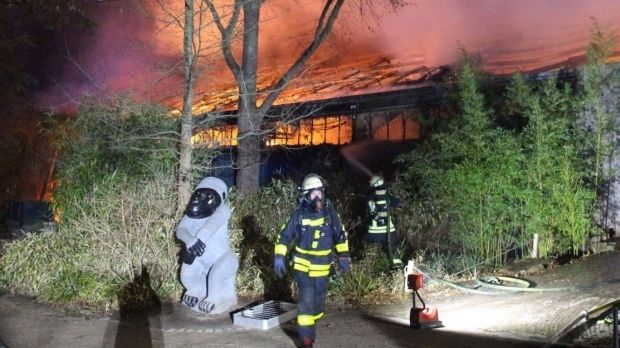 Incendiu la o grădină zoologică din Germania. 30 de animale şi-au pierdut viaţa