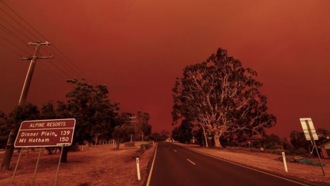 Uluitor: Cine ar fi de vină pentru incendiile din Australia. Au fost făcute sute de arestări