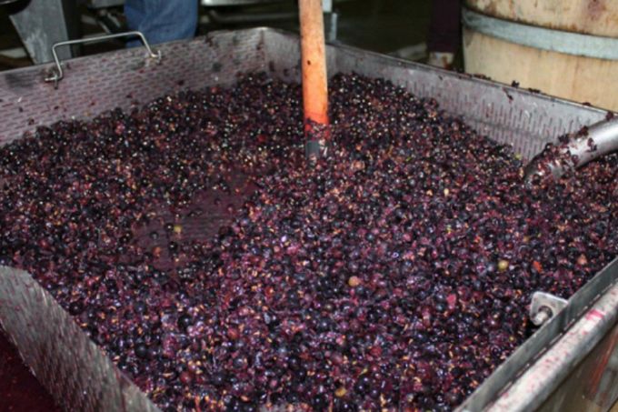 Atenţie la vinul în proces de fermentare. IGSU a lansat o campanie de prevenire a intoxicaţiilor cu dioxid de carbon