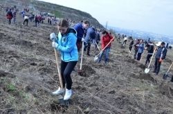 Sâmbătă, în Chişinău se dă startul campaniei de plantare a arborilor