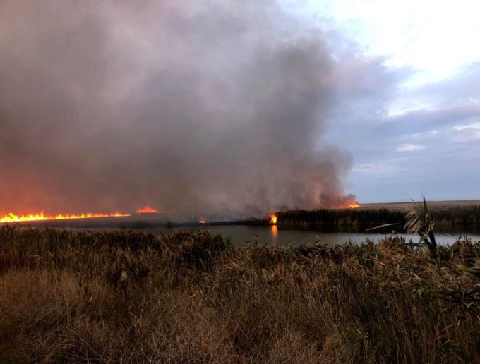 Incendiu în rezervaţia Biosferei Delta Dunării. 700 de hectare de vegetaţie au ars
