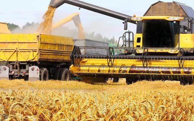 România redevine grânarul Europei. Este al patrulea exportator de grâu din UE şi jumătate din porumbul exportat de UE provine din România