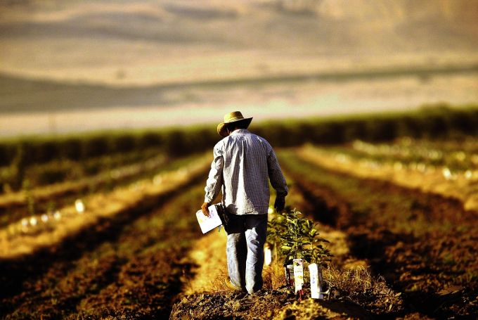 Din 2 decembrie, agricultorii pot depune cererile de acordare a compensaţiilor pentru grupa a II-a de culturi