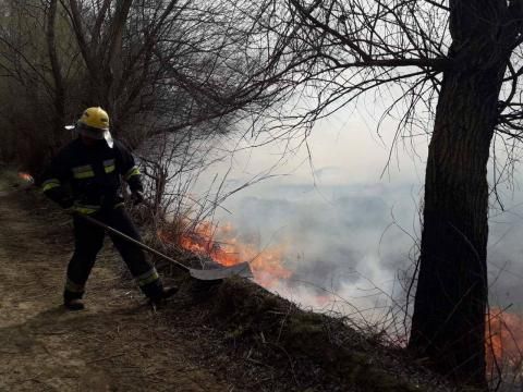 VIDEO. Incendiu de vegetaţie în Rezervaţia naturală ştiinţifică Prutul de Jos