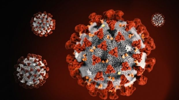 Coronavirus: China raportează 31 de noi cazuri şi 4 decese