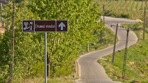 VIDEO. Drumul Vinului Moldovei, inclus în rutele culturale ale Consiliul Europei
