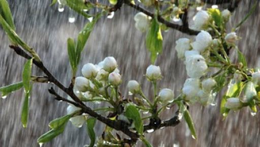 Meteorologii anunţă vreme ploioasă pentru prima zi de mai