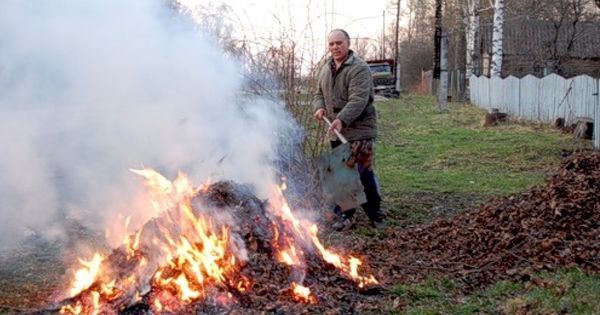 Ministerul Agriculturii aminteşte: Arderea resturilor vegetale se pedepseşte cu amendă
