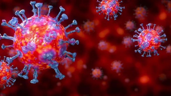 Şeful diplomaţiei UE cere o anchetă independentă pentru a se stabili originea virusului SARS-CoV-2