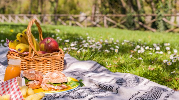 Grătarele sau picnicurile în spaţii publice sunt interzise până pe 30 iunie