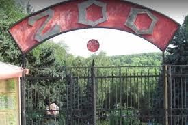 Grădina Zoologică de la Chişinău, deschisă pentru vizitatori. Ce vom putea vedea?