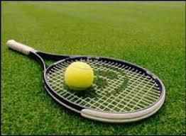 Tenis: Openul Japoniei (ATP) a fost anulat din cauza coronavirusului