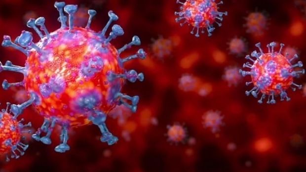 Nou tip de gripă în China. Oamenii de ştiinţă au identificat un nou virus cu potenţial pandemic