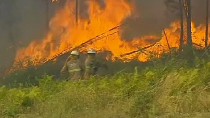 Incendii de vegetaţie în Portugalia. Un pompier a murit şi alţi trei au fost răniţi