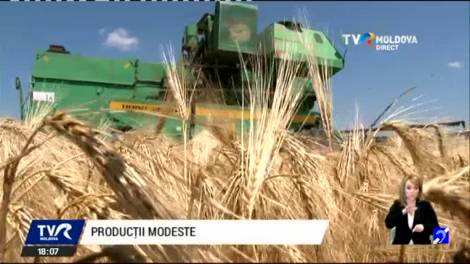 Antirecord de recoltă în R.Moldova: 45 de kilograme grâu/ha
