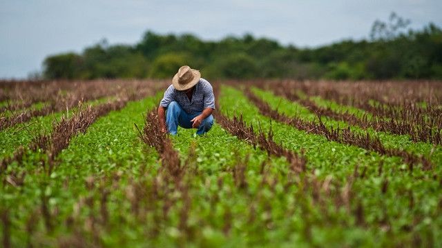 PAS a înregistrat un proiect de lege ce va exclude TVA-ul pentru agricultori