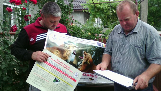 Program co-finanţat de UE şi sprijinit de România: În premieră, ANSA porneşte o campanie de vaccinare antirabică a vulpilor