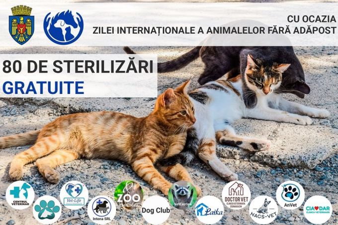 80 de pisici comunitare vor fi sterilizate gratuit de autorităţile din Chişinău. Cei interesaţi trebuie să completeze un formular