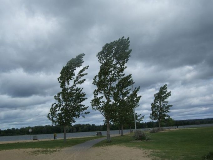Un Cod Galben de vânt puternic a fost anunţat de meteorologi