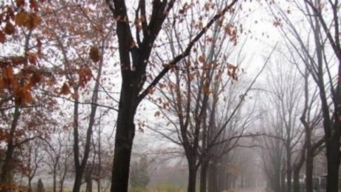 METEO. Izolat va fi ceaţă, iar precipitaţii nu se prevăd. Cum va fi vremea astăzi, 17 noiembrie