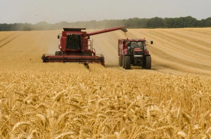 Federaţia Naţională a Fermierilor: Recolta de grâne din R. Moldova din anul viitor poate fi compromisă