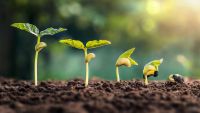Investitori olandezi, interesaţi de dezvoltarea proiectelor din domeniul agriculturii ecologice în Republica Moldova