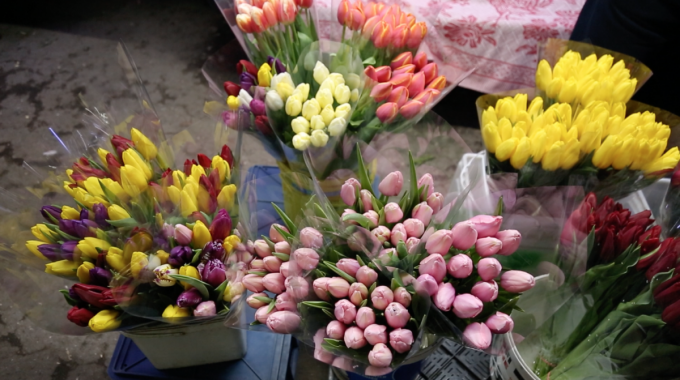 Serviciul Fiscal de Stat va controla vânzătorii de flori, în ziua de 8 martie