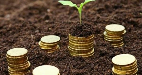 Din 15 aprilie pot fi depuse cereri pentru solicitarea subvenţiilor în avans, pentru proiecte start-up în domeniul agroindustrial