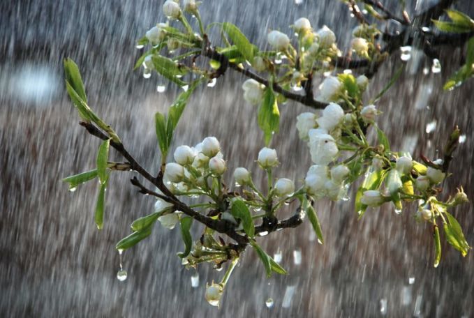 Serviciul Hidrometeorologic de Stat anunţă şi pentru astăzi ploi de scurtă durată