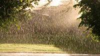 Avertizare meteo: Cod Galben de ploi cu descărcări electrice şi vânt puternic