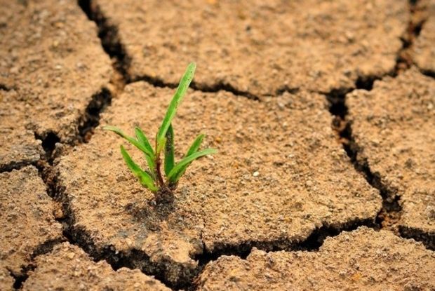 17 iunie, Ziua mondială pentru combaterea deşertificării şi a secetei. Aproape trei sferturi din pământul neacoperit de gheaţă al Planetei fost modificat de oameni