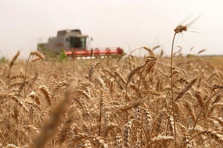 România, singura ţară din lume cu rating excepţional pentru recolta agricolă din 2021