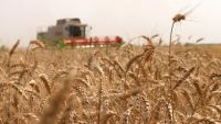 România, singura ţară din lume cu rating excepţional pentru recolta agricolă din 2021