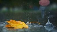 METEO. Pregătiţi umbrela, meteorologii anunţă ploi de scurtă durată. Cum va fi vremea astăzi, 24 septembrie