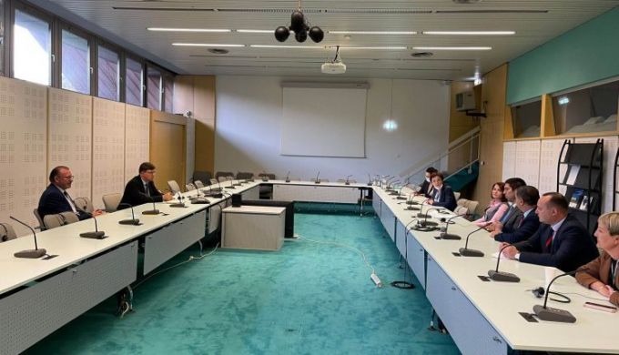 Delegaţia Parlamentului Republicii Moldova a avut, la Strasbourg, o întrevedere cu Rik Daems, preşedintele APCE