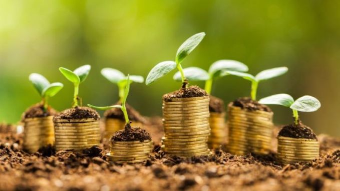 Fonduri în valoare de circa 60 de milioane de euro urmează a fi puse la dispoziţia horticultorilor din R. Moldova