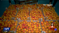 Exportul de fructe din Republica Moldova către Uniunea Europeană a crescut cu 30% în 2021
