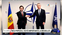 Vicepremierul Nicu Popescu, întrevederi cu secretarul general NATO, Jens Stoltenberg, dar şi cu secretarul general adjunct al Alianţei, Mircea Geoană